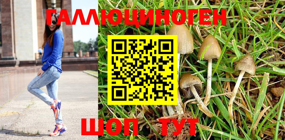 Галлюциногенные грибы Psilocybe  Псилоцибиновые грибы мухоморы  Вход с VPN  Урай 